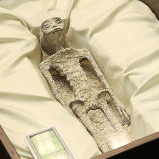 How I hope I’ll feel when I wake up vs. how I actually feel when I wake up