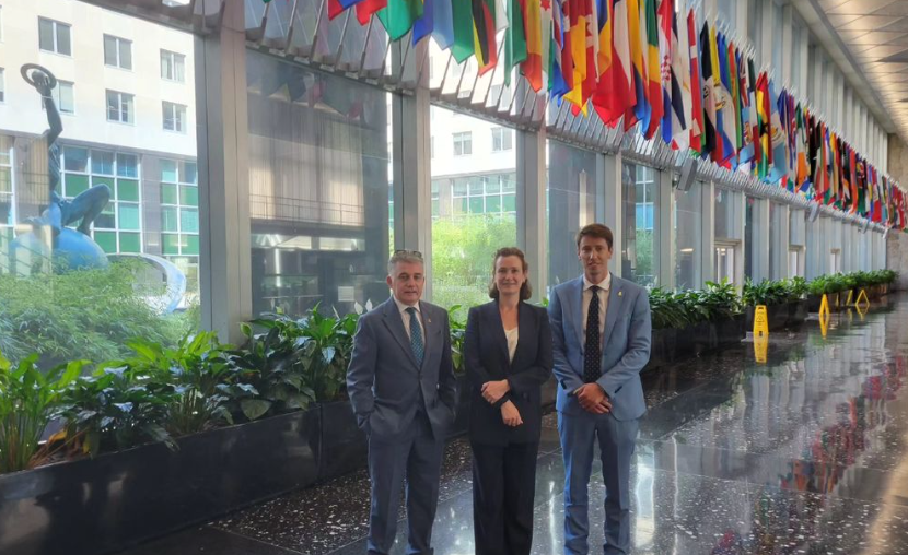 Flanders in the USA tweet media