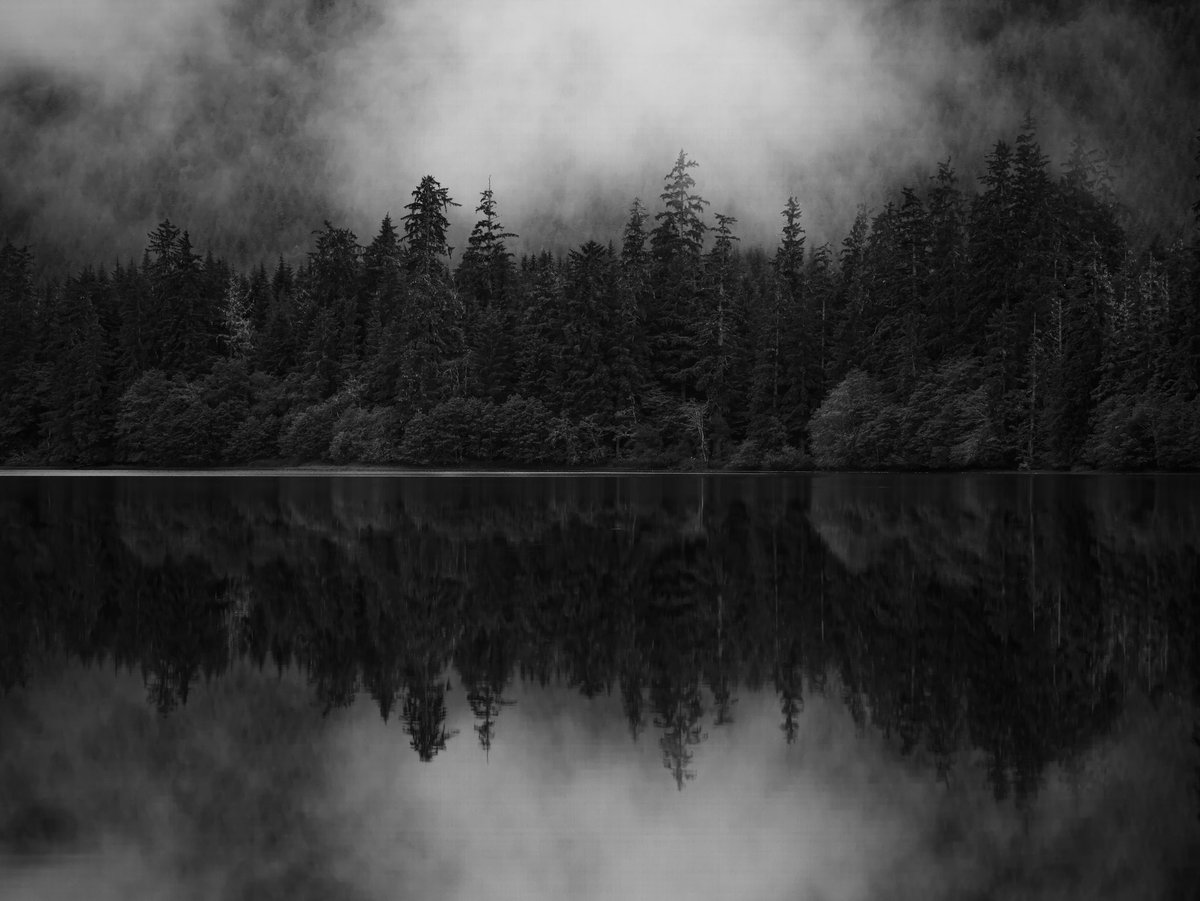 DailyStaley's tweet image. Alaska

#lumix #g9ii