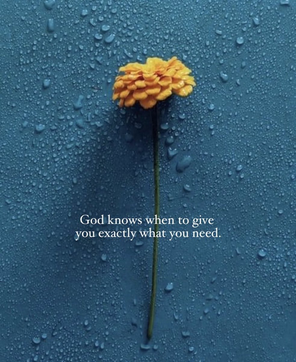 wordstionary's tweet photo. Amen🙏 https://t.co/a7ewatNWnN