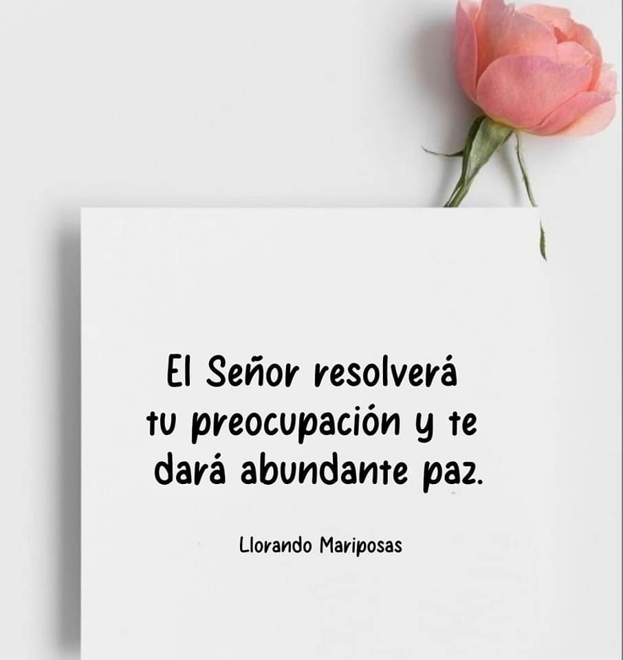 AlmaMoralesH's tweet photo. https://t.co/56BWf1dosB