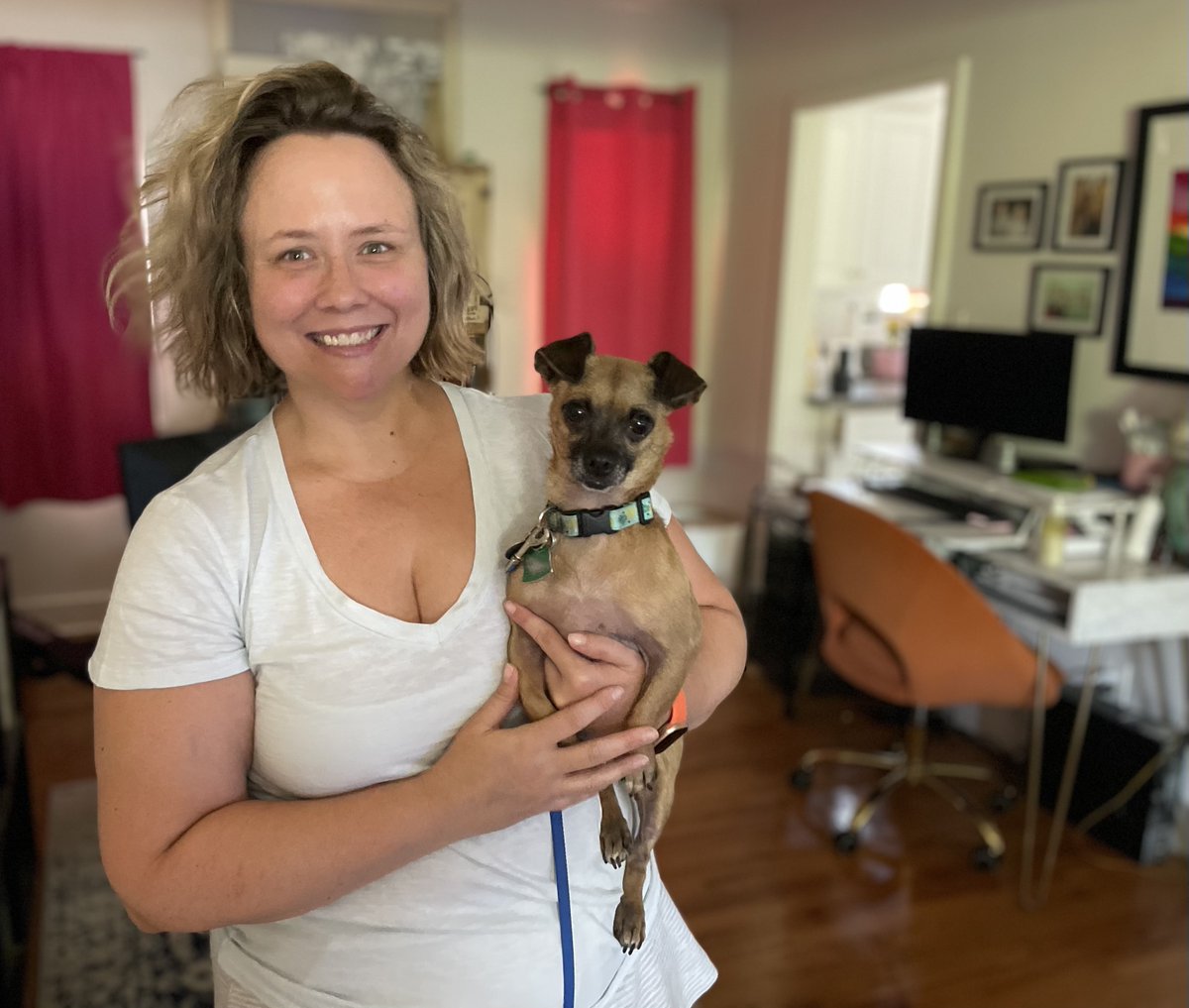 therescuetrain's tweet photo. Zsa Zsa was adopted! 
Zsa Zsa got on @therescuetrain when her human passed away. And Nikki recently lost her beloved pup Kaiser &amp; was looking to fill that hole in her heart. When these 2 met, the healing and a new chapter of love and companionship began. Thank you, foster Kate! https://t.co/LTW6pvUYQx