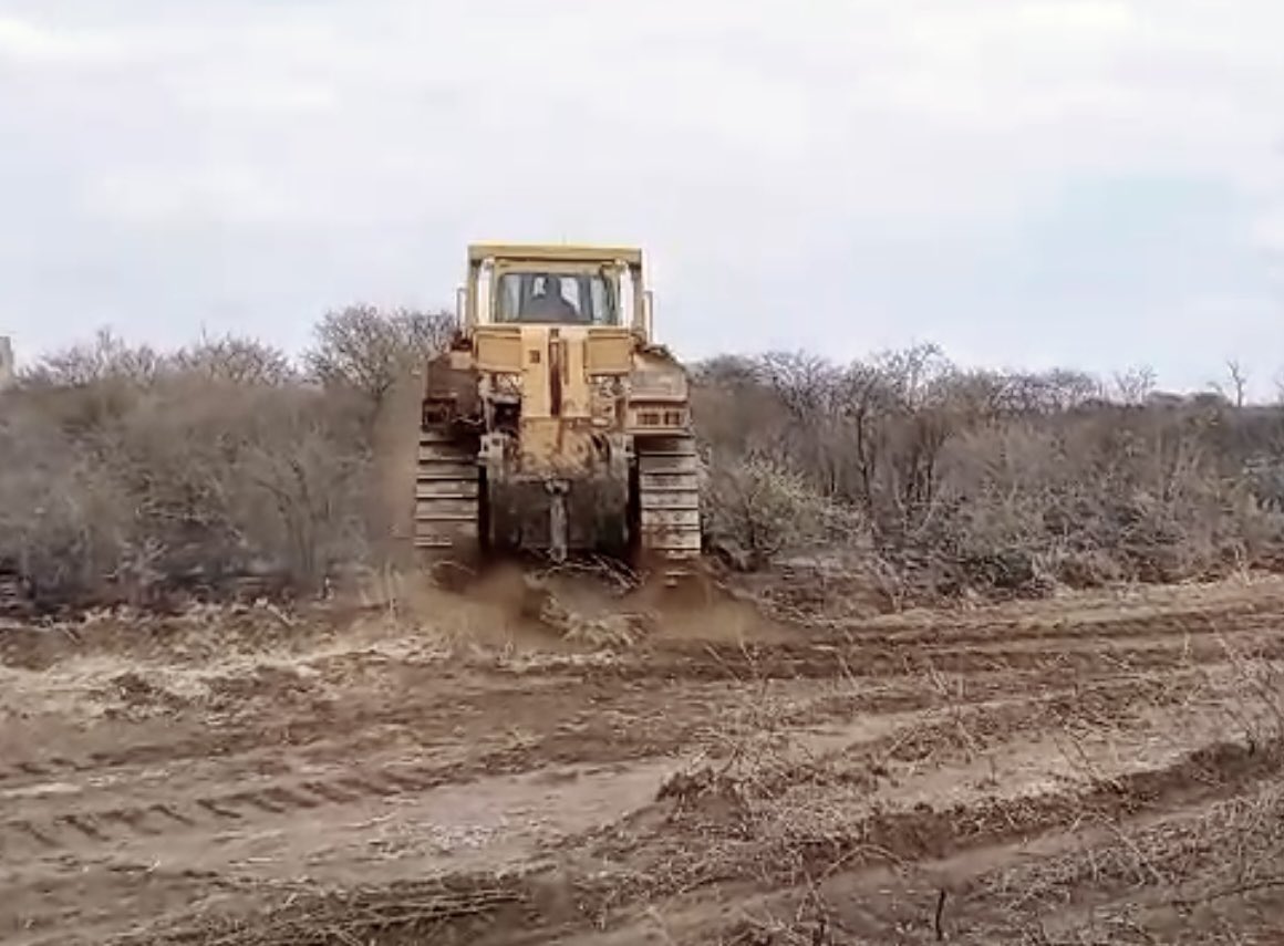 Sturdee_Energy's tweet photo. Site clearing for geotech underway. Exciting Sturdee solar project coming soon. #renewables #privatepower #sturdee #ppa https://t.co/JlFpQslD0K