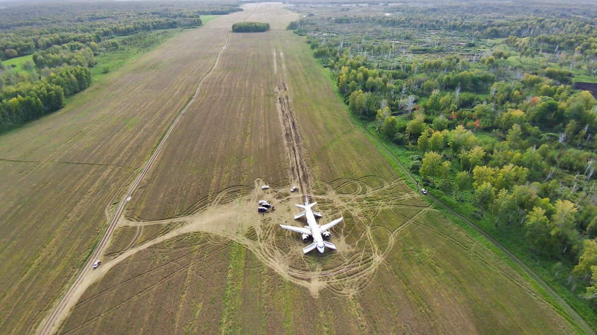 airlivenet's tweet photo. A good picture to put into perspective the emergency landing on field of an Ural Airlines A320 https://t.co/qdPBLL6O9G https://t.co/BRYY6eNvvw