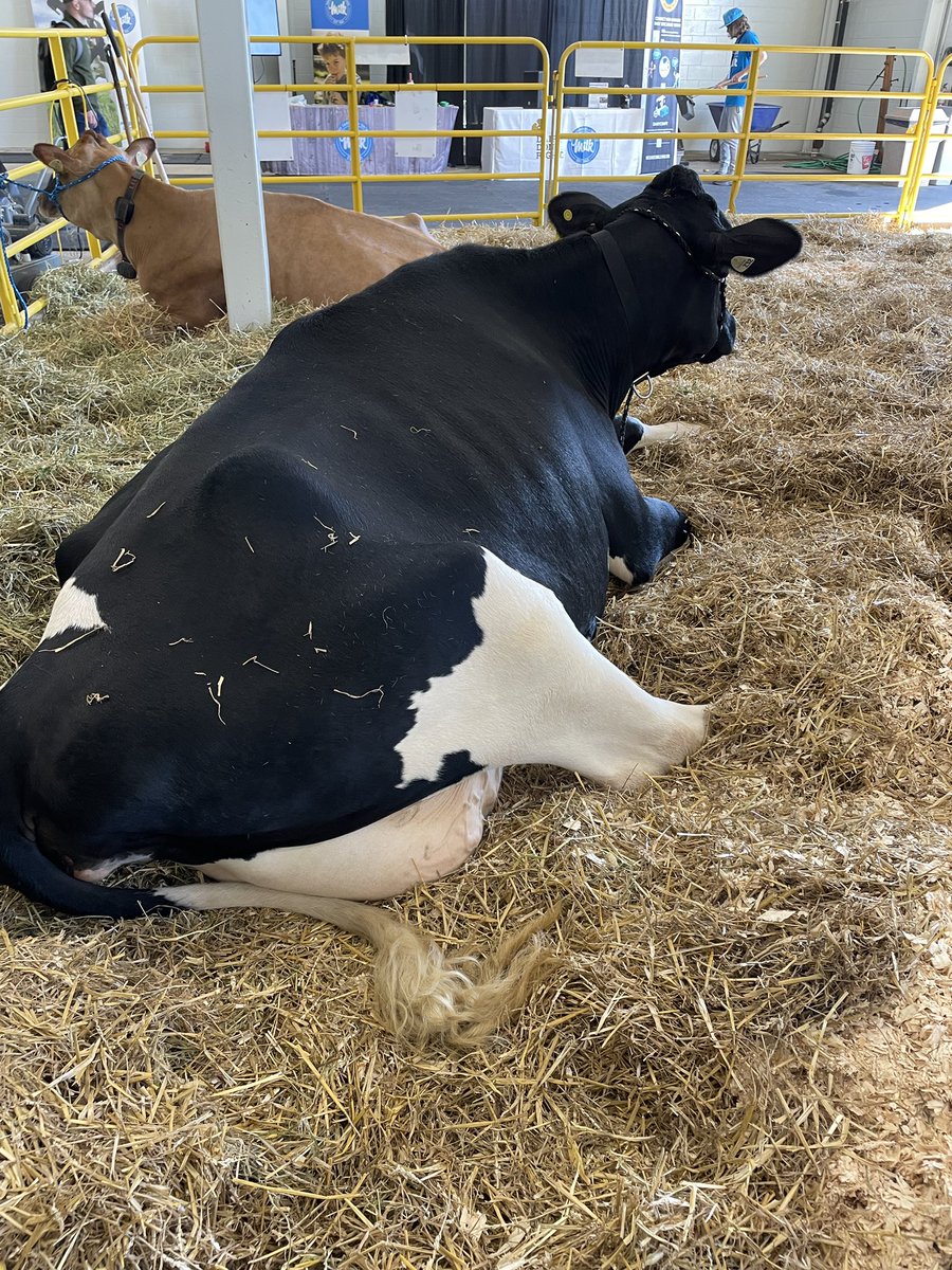 First field trip of the year under our belt. Visit to the <a href="/WesternFair/">WesternFair District</a> agricultural days to learn about our food and where it comes from- piglets we’re a hit <a href="/masonville_ps/">Masonville PS</a>