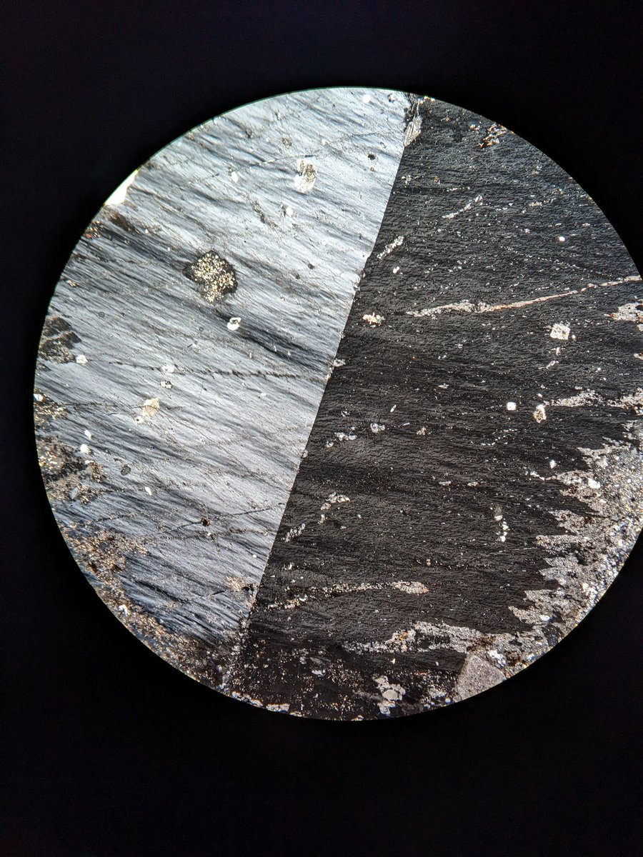 A Karlsbad twin for #thinsectionthursday  in cross-polarized light!
#geolgy #microscooy #throughdescope