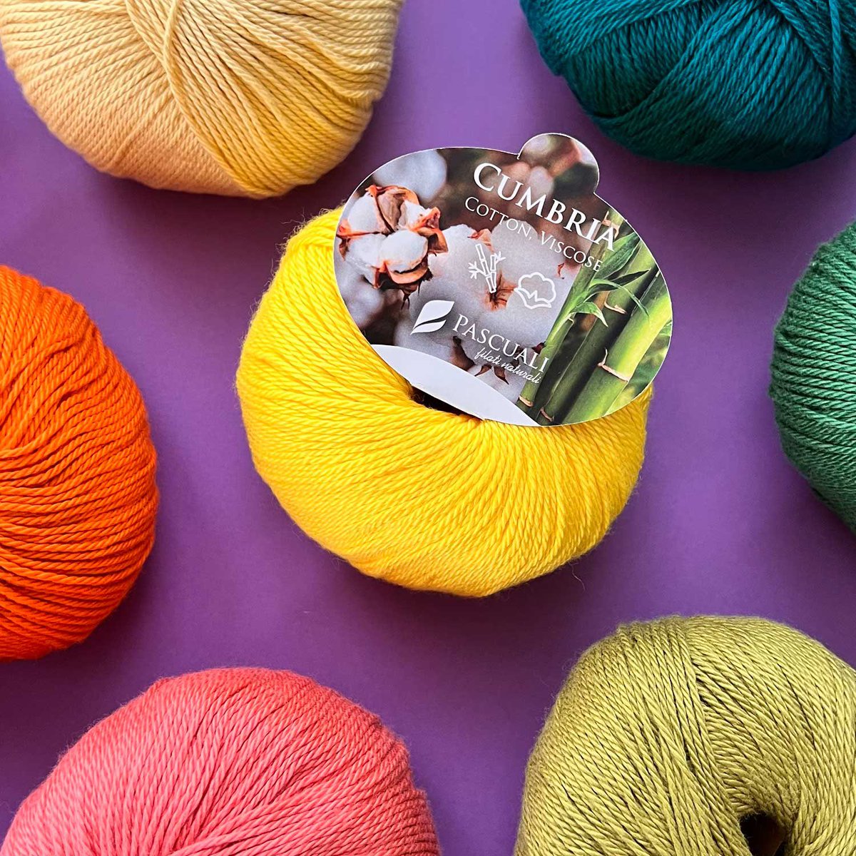 Yarn Camp tweet media