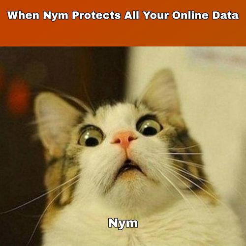 QuynhPh32's tweet photo. $NYM @nymproject https://t.co/AeJyH7NoAx
