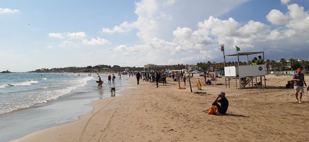 Ariadna Llorens tweet media