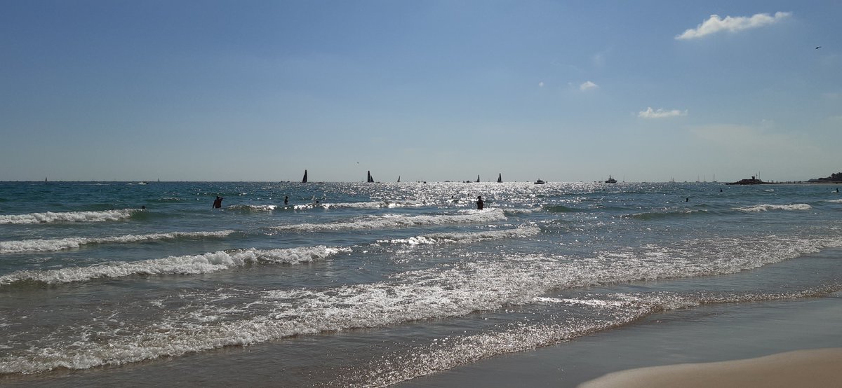 Ariadna Llorens tweet media