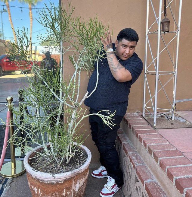 Me Hiding from the buzzball