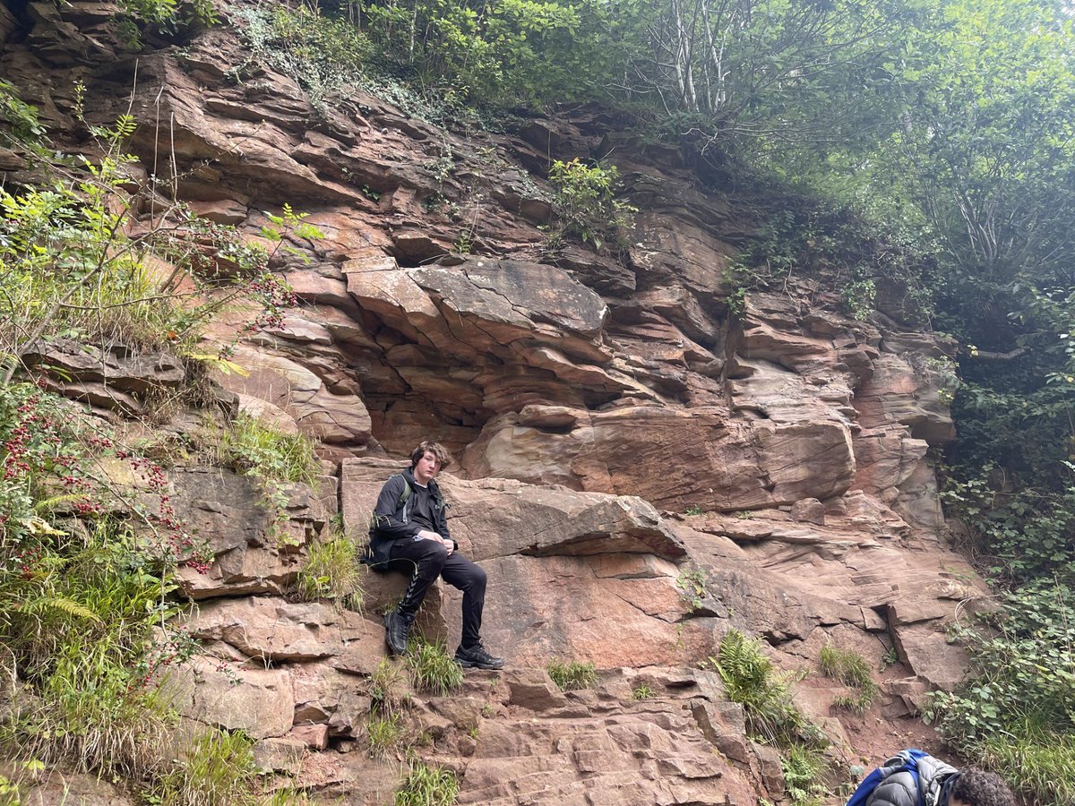 Everton Free School tweet media