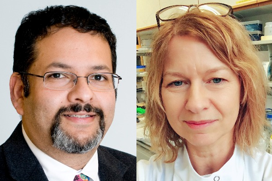 MRC Centre for Medical Mycology (@mrccmm) on Twitter photo Register now for #MycoTalks 28 September:
<a href="/jmvyasmdphd/">Jatin M. Vyas, MD, PhD</a> : The Role of the cGAS/STING Pathway in innate immunity to C. albicans
and
<a href="/chitinette/">Carol Munro</a>: Targeting the fungal cell wall
us02web.zoom.us/webinar/regist… Register now for #MycoTalks 28 September:
<a href="/jmvyasmdphd/">Jatin M. Vyas, MD, PhD</a> : The Role of the cGAS/STING Pathway in innate immunity to C. albicans
and
<a href="/chitinette/">Carol Munro</a>: Targeting the fungal cell wall
us02web.zoom.us/webinar/regist…