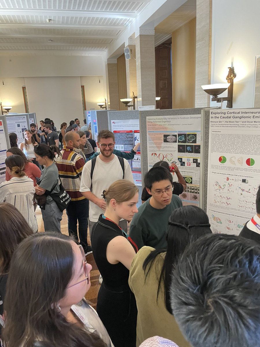 Start of our 2023 @dev_neuro Scientific Retreat. We begin with an afternoon of posters. Great to see everyone from the Centre presenting their work. @KingsIoPPN