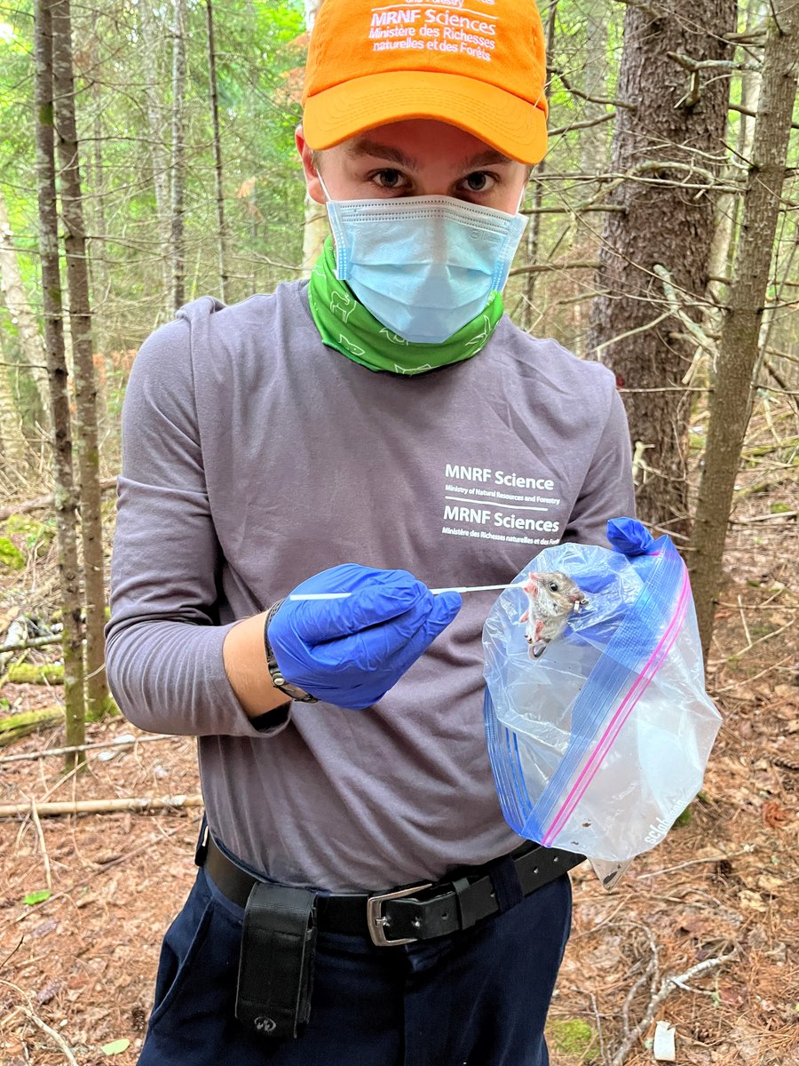 ONresources's tweet photo. Each year, we welcome #StudentsInScience from across Ontario to support research and monitoring efforts.
Meet Thomas, a Master of Science student, studying environmental and life sciences at Trent University.
https://t.co/OAykR6LECN
#ScienceON #SummerStudent https://t.co/3qftpeVbLR