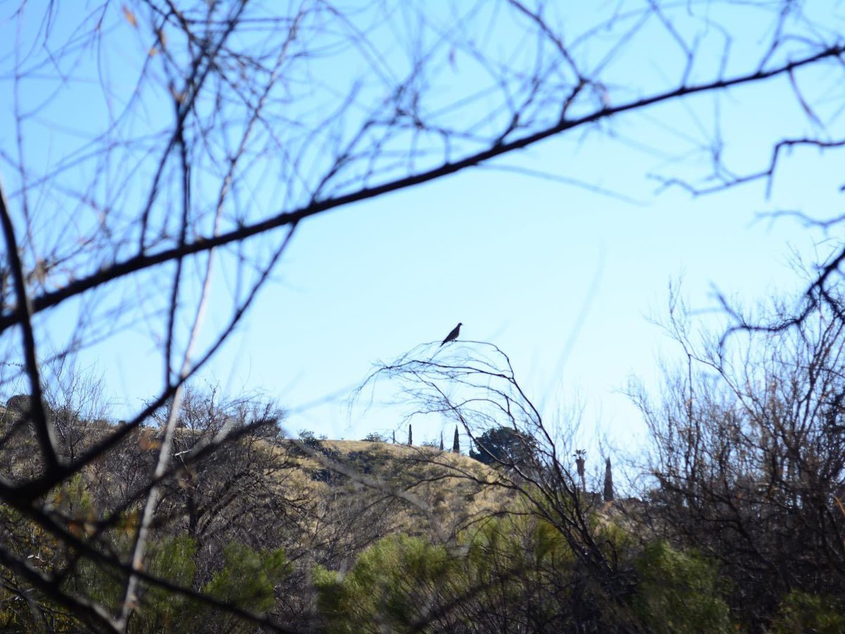 Frontera Land Alliance tweet media