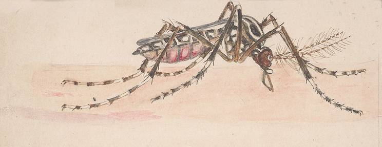 80grados tweet media