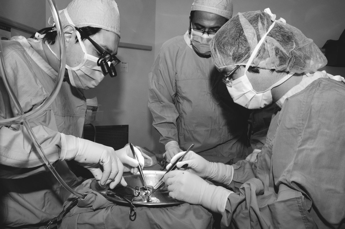 After UH opened its doors in 1972, the first kidney transplant was done just a few months later. It was the first of what would grow to be more than 6,700 transplants over the next five decades. Read more about the transplantation program: lhsc.on.ca/news/from-the-… #UH50
