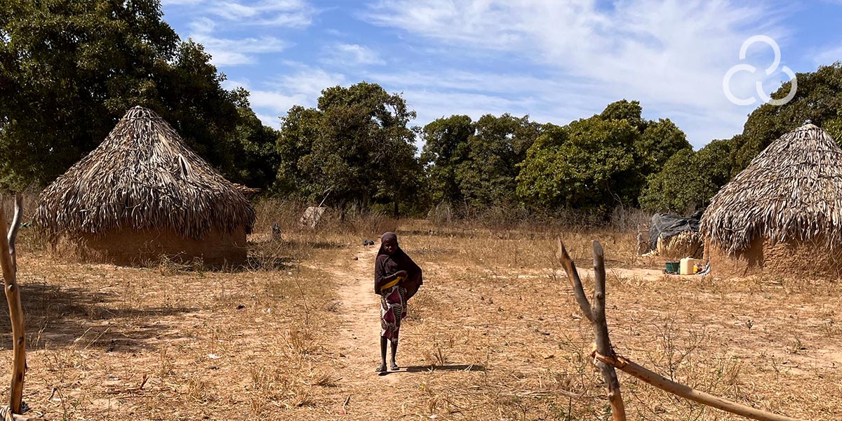 Lutheran World Relief tweet media