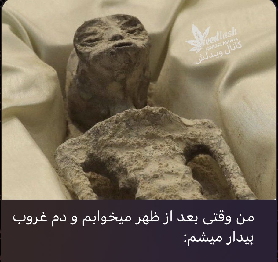 ایرانی جماعت تو بدترین و سخت ترین و عجیب ترین شرایطم با هرچییزی شوخی میکنه