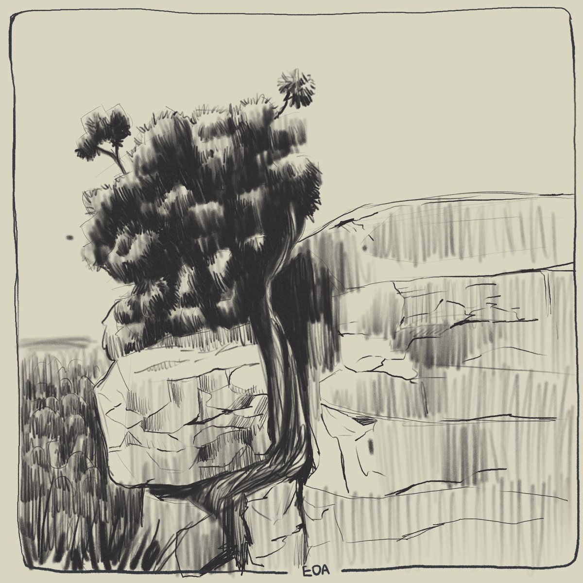 EOA_art's tweet photo. More tree sketches from few days back …
#trees #sketch #2d #pencils #doodle #treesketch #study #roughs https://t.co/aPu922DVFg