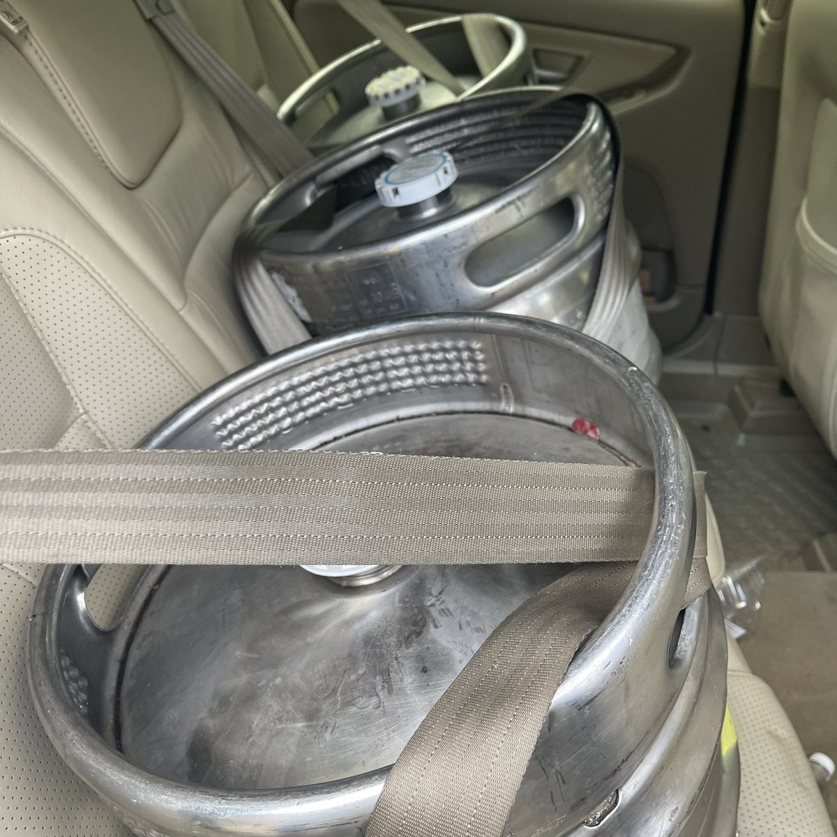 WARP CAMP tweet media