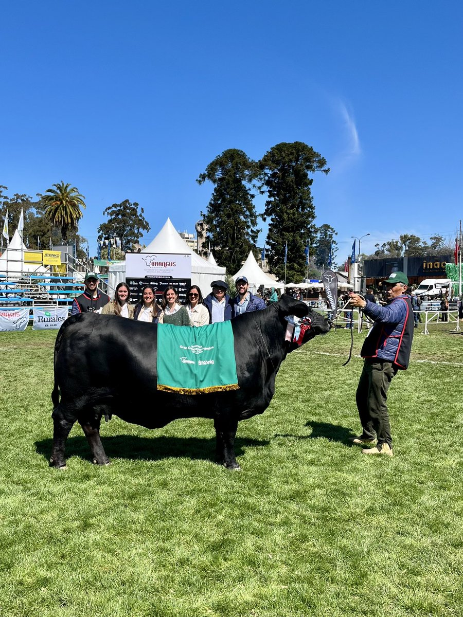 RESERVADA GRAN CAMPEONA 🏆
