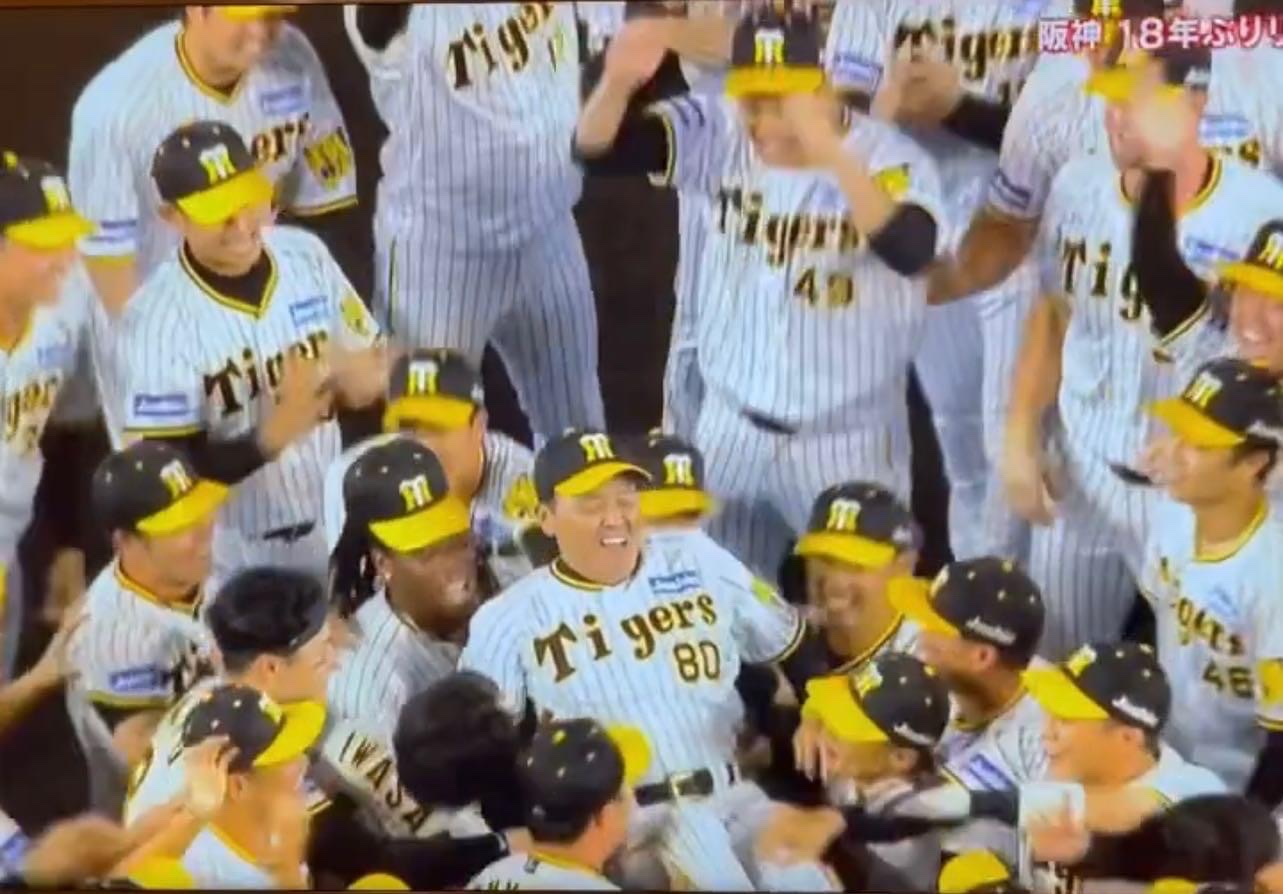 阪神タイガース 埼玉西武ライオンズ 45 藤田太陽選手 2010年 実