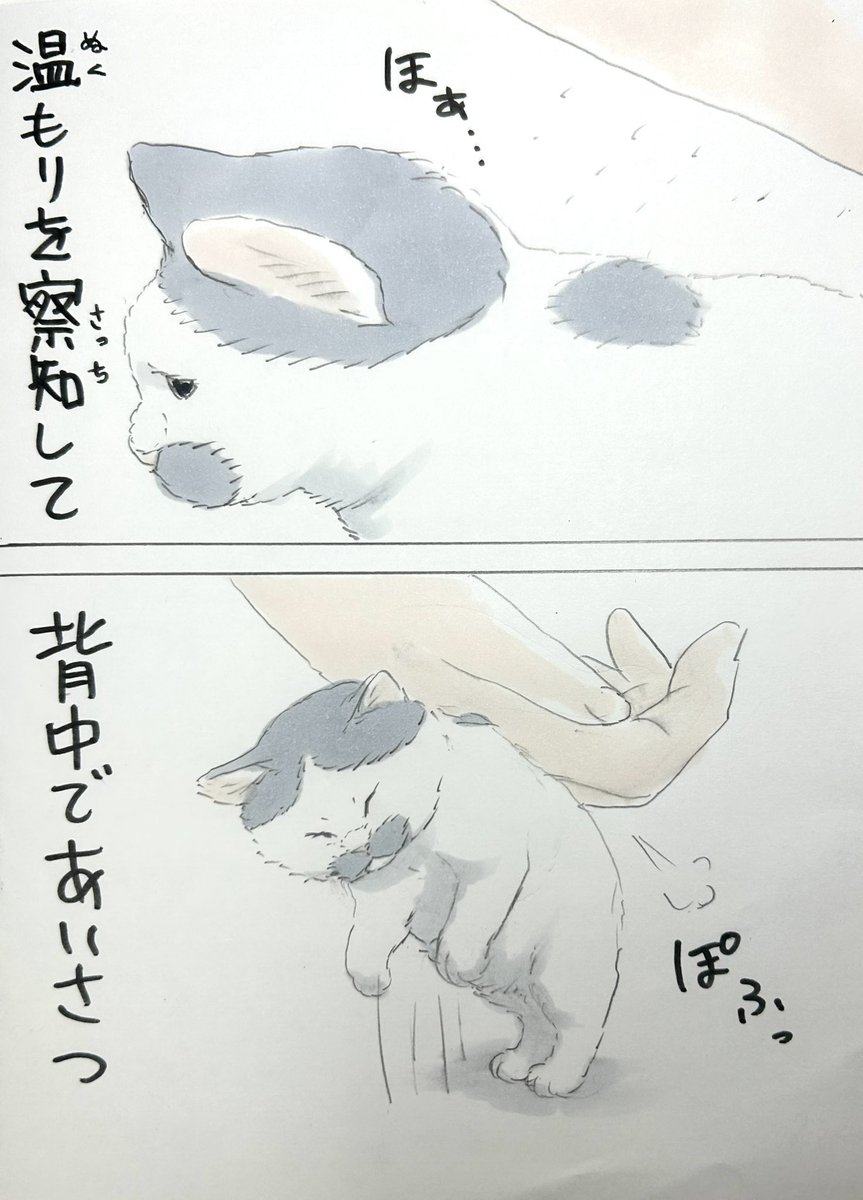まいにちノリ吉 