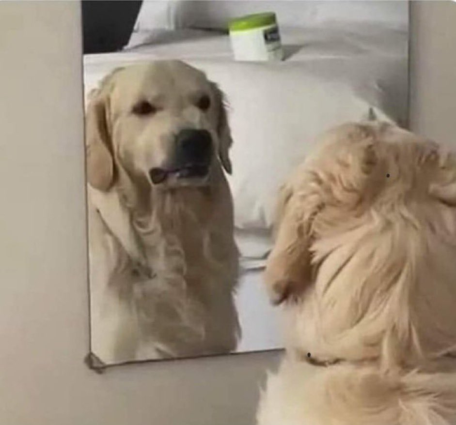 domobami's tweet photo. when i find out who's spending all my money https://t.co/5rCumC9WmL