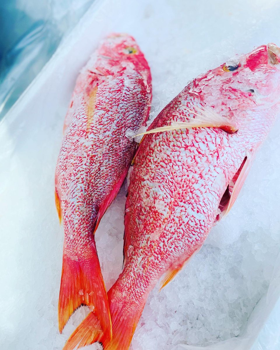 NithaelEmilcar's tweet photo. Emilcar poissonnerie ☎️786-278-8795
Stay healthy https://t.co/U701aJyCvh