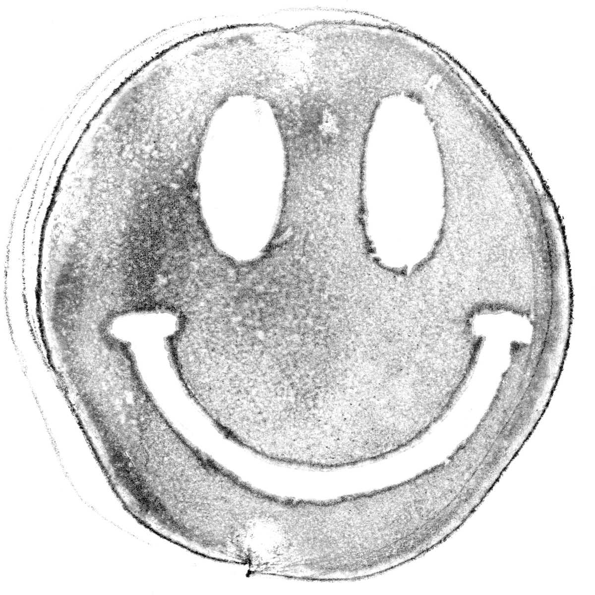 gm

A smiley stamp made from a potato🙃🥔