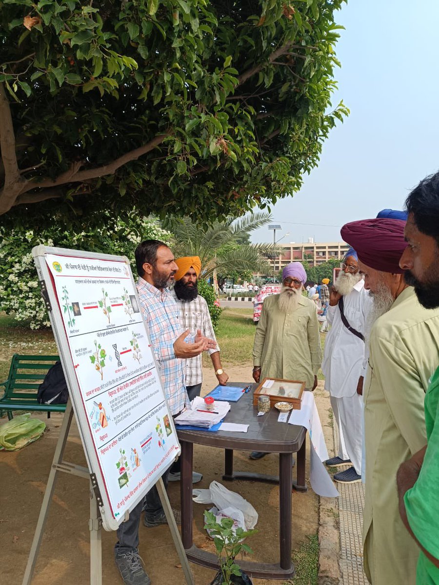 Jiffin6's tweet photo. First CRISPR outreach event with farmers day 1 at PAU Kisan mela. @CRISPR_News @PAU_LDH https://t.co/CyDhc7juTY