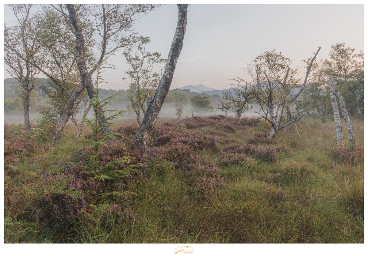 Distant Dreams.

Another photograph from this wonderful little corner of Snowdonia. I was grateful to be able to share this morning with <a href="/MarcRobbinsPho1/">Marc Robbins Photography</a> yesterday. We filmed a video for the podcast shortly after and I can't wait to bring the conversation to you soon.