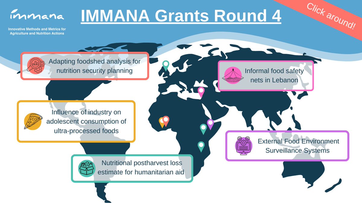 🚀We are delighted to announce 5 IMMANA grantees! From supporting intervention design to studying #UPF consumption, these grants will develop innovative methods & tools to build resilient & nutrition-sensitive #foodsystems. anh-academy.org/community/news…