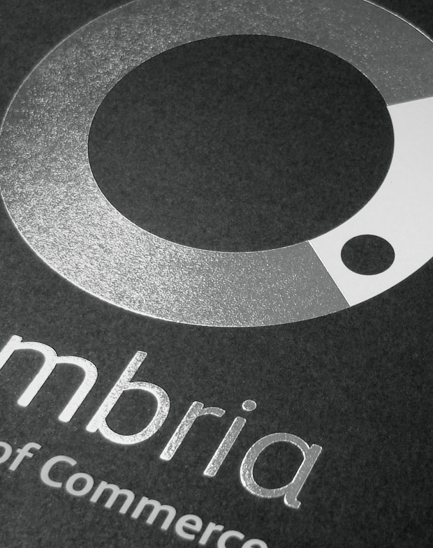 We’re delighted to have joined <a href="/cumbriachamber/">Cumbria Chamber</a>. Our Strategic Director Kerry Doig explains more about our reasons in this new blog post solomonseurope.com/blog/blogs-art… 

#cumbria #procurement #smes #supplychain #opportunities #socialimpact #swimmingwiththebigfish #solomonseurope