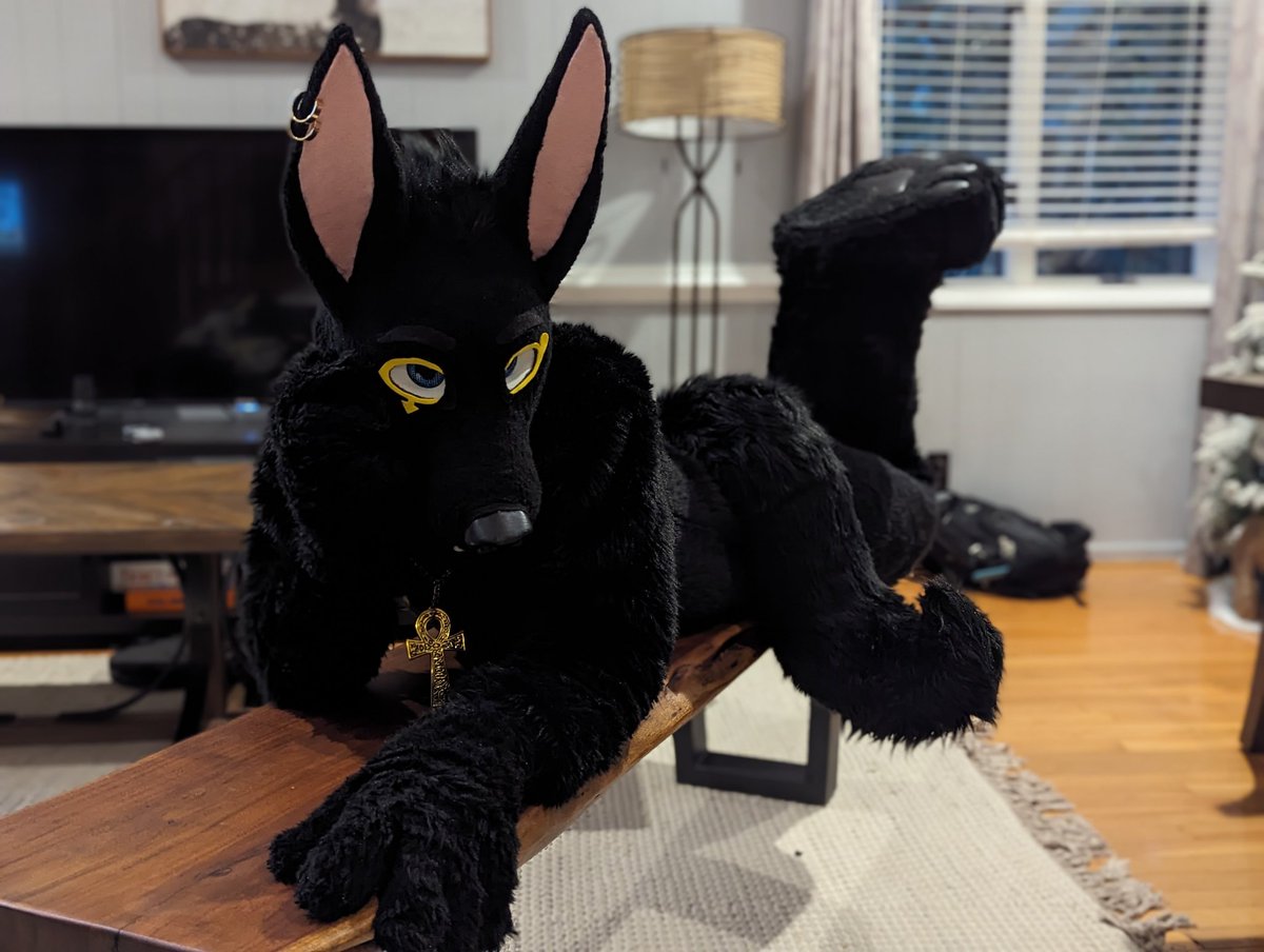 AlexeiJackal's tweet photo. Hi! You're cute! 🥰

📸 @aerialiftstudio https://t.co/hDiLGP3vpl