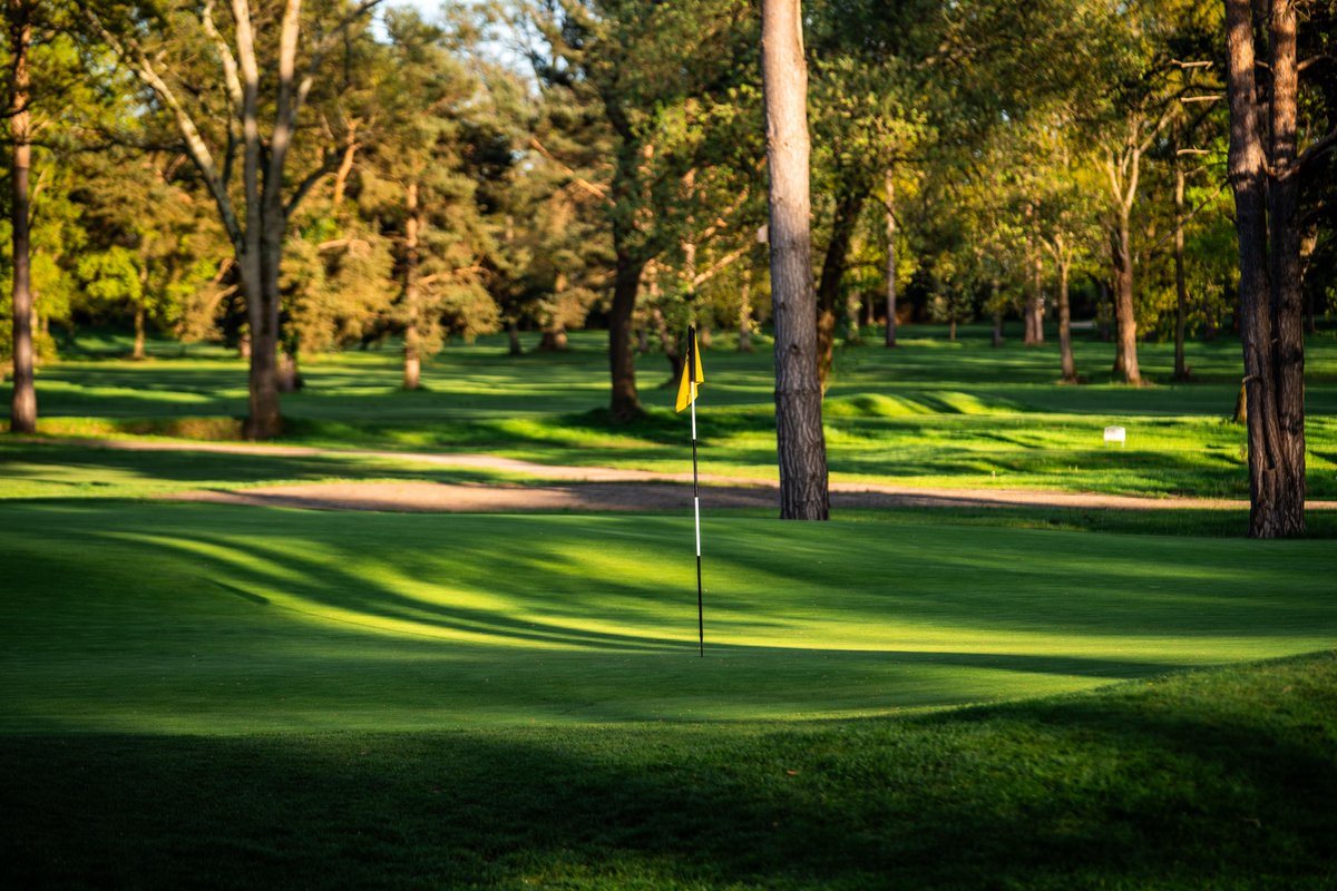 The evening sun illuminates the ridge that sits on the 15th green. Leave your ball in the wrong spot and this undulation can leave you a very treacherous putt.

#westbyfleet #surrey #surreygolf #coursedesign #golfcoursephotography #golf #golfing