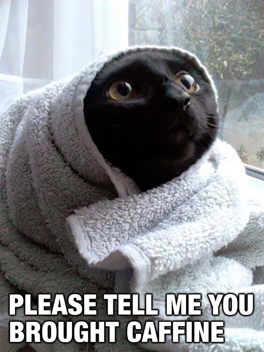 Big Eyes (@bigeyescoin) on Twitter photo Gm,
Stay caffeinated #CatCrew!😺
#BigEyesInfinity #BigEyesCoin #thursdaymorning #memecoin #cryptomarket Gm,
Stay caffeinated #CatCrew!😺
#BigEyesInfinity #BigEyesCoin #thursdaymorning #memecoin #cryptomarket