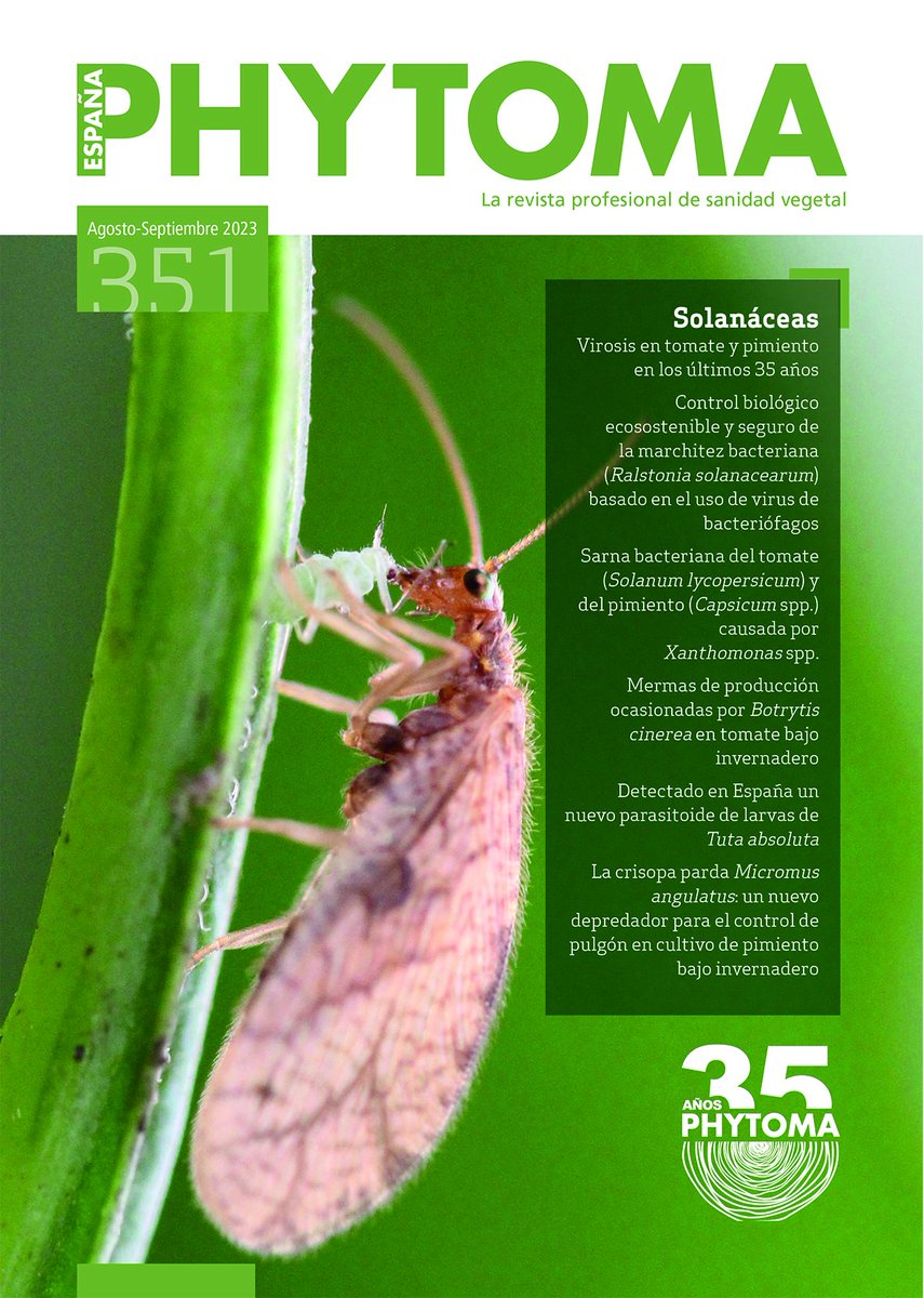 Thrilled to announce our article co-authored with Antonio Robledo, on using Micromus angulatus to combat aphids in sweet peppers in Almería, Spain is now published in @Phytoma España! 

Even made the front page!

@gustavobueso