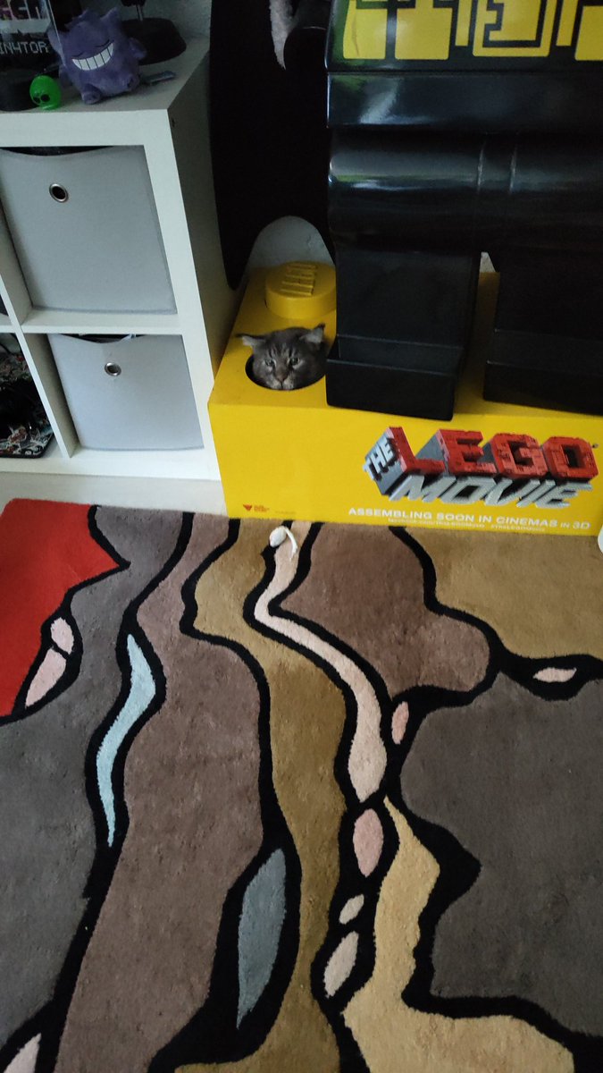 HiImBerryBuh's tweet photo. Staubsaugen findet Katzer 4 ziemlich dubios. Erstmal in Deckung gehen und die Lage mit gut ausgesuchter Unterstützung beobachten.
#RandomCatContent
#CatCave https://t.co/S2rmX4vzdq