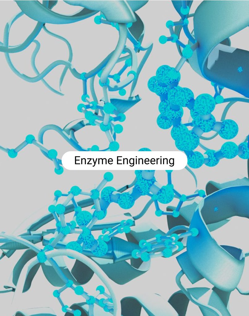 zymvol's tweet photo. We're flying to Singapore! 🇸🇬

Zymvol is a proud sponsor of the Enzyme Engineering XXVII Conference (Oct 1-6) https://t.co/5n30N7vTZ0