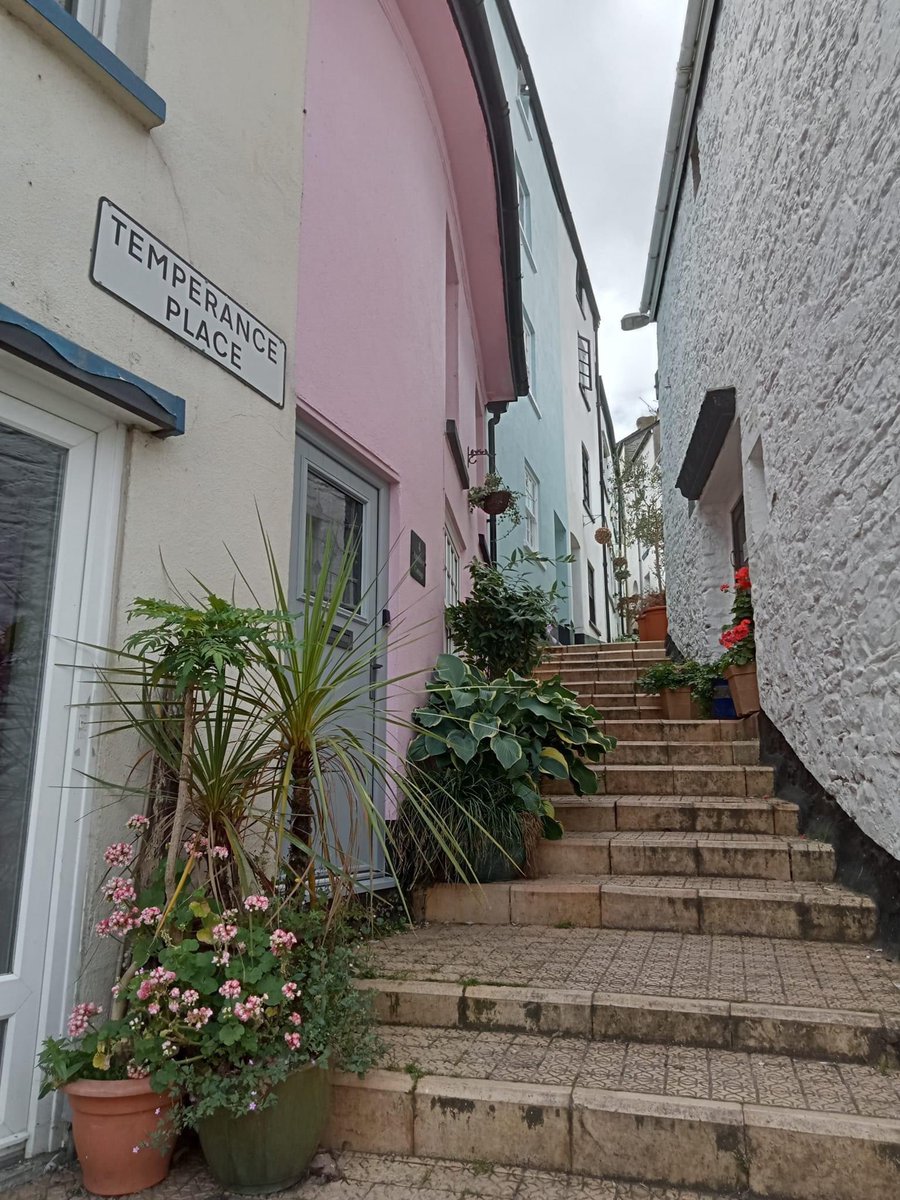 Saltys20's tweet photo. Last Sept break in Salty’s Cottage, Brixham
** 22nd - 28th ** (6 nights for £500)

You’ll find that Brixham’s micro-climate will be just perfect for people who just want to catch that last bit of summer!

#dogfriendly #holidaycottage #holiday #Devon #brixham @ERBIDCo @dotty4paws https://t.co/AluDXf9sLh