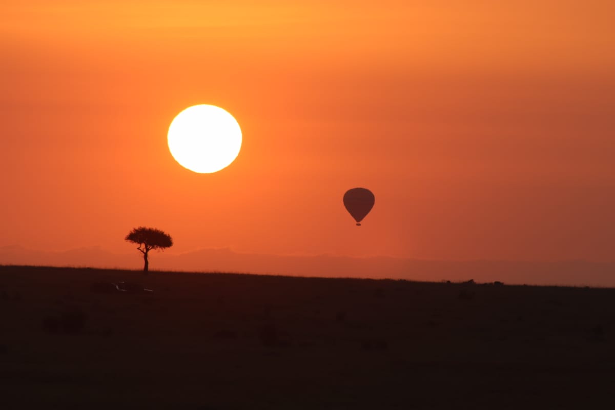 bush_wing's tweet photo. Up, up, and away! Experience the unforgettable beauty of Maasai Mara from a bird's eye view on our Balloon Safari. Book now and stay at the luxurious Mara Bush Camp for an adventure you'll never forget! 

📍 Soroi Mara Bush Camp is part of @SoroiCollection

 Photo Credit: Guide J https://t.co/hYjg8ih5u3