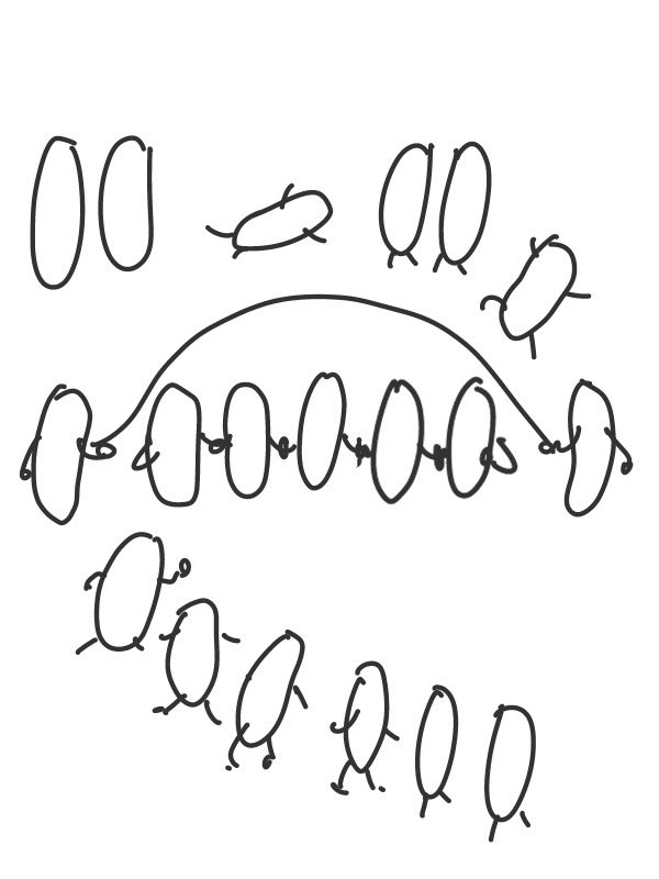 明日のイラストの下書きです♡

台風中の離島からこんばんは♡
今日は無事に楽しく潜れました！
お返事等々来週までお待ちください🐟

おやすみなさい⭐

#イラストレーター