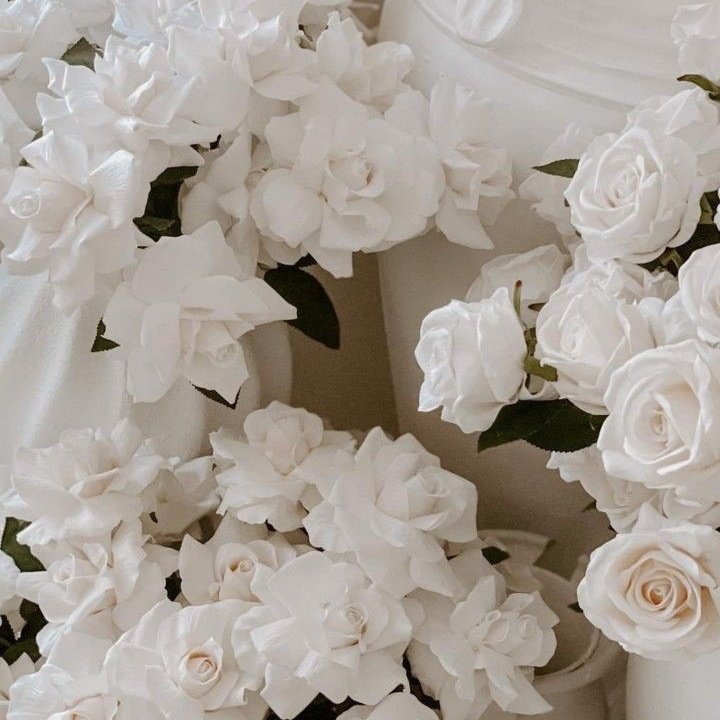 dendrotect's tweet image. 