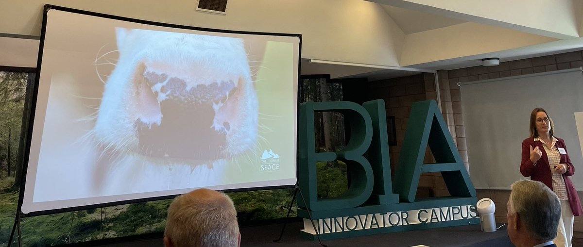 Have followed and recommended @TinaODwyer for many years and finally get to meet and hear this dymano in action. A class act. #sharedisland #biainnovator @bia_innovator