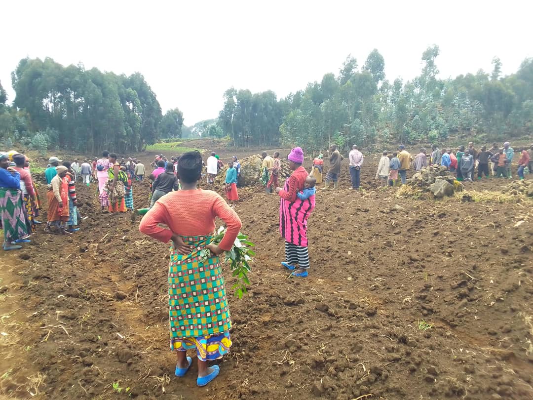 Busasamana Sector (Rubavu) tweet media