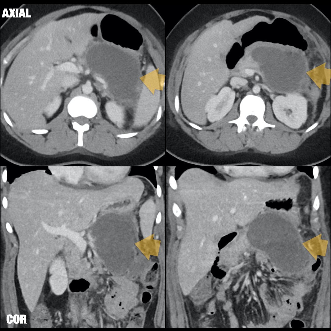 Daniel Souza tweet media