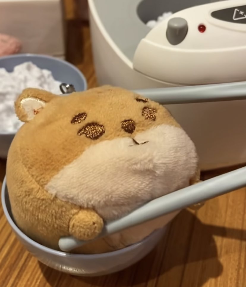 kkekayk's tweet photo. Petit ke https://t.co/nNbbwtfDqy
